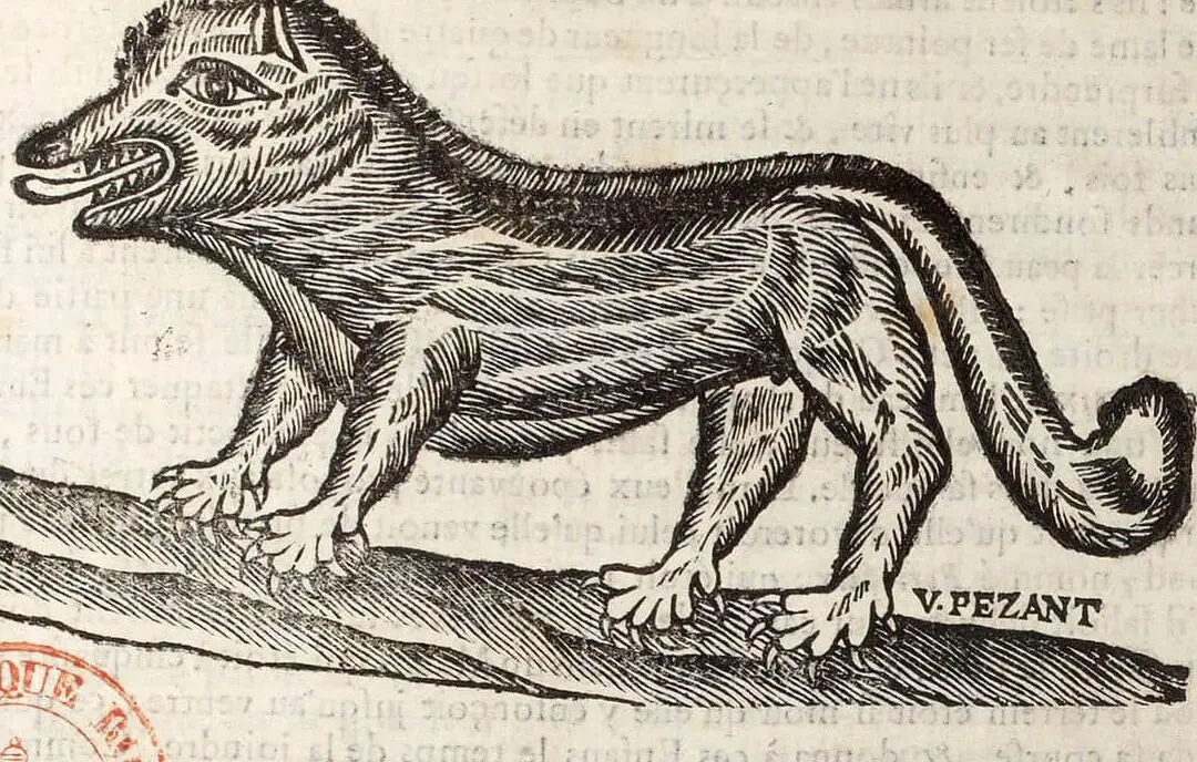 Los 11 animales más aterradores y peligrosos de Francia La bestia de Gevaudan: cazando al monstruo de la Francia del siglo XVIII