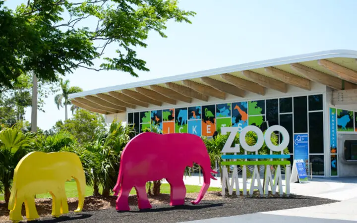 🦁 Los 14 mejores zoológicos de EE. UU. en 2024 (nuestras mejores opciones)