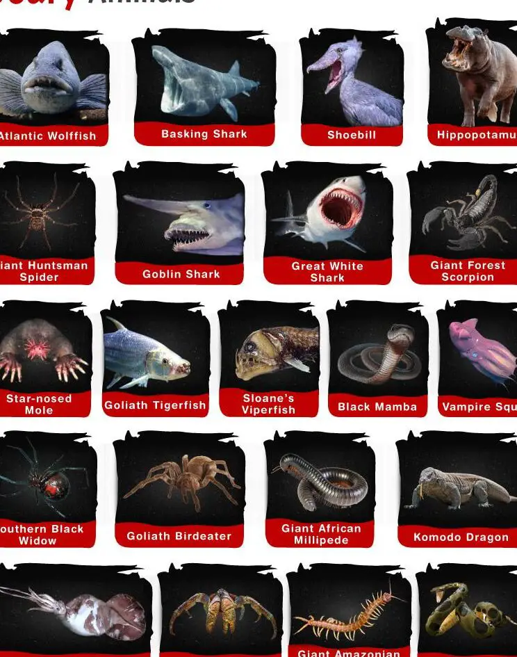 Animales aterradores: hechos, lista, imágenes