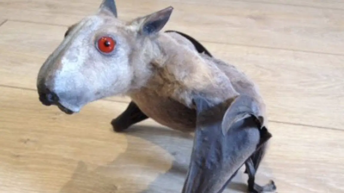 Los 15 animales más peligrosos que puedes encontrar en Tailandia 15 animales más mortíferos de Asia