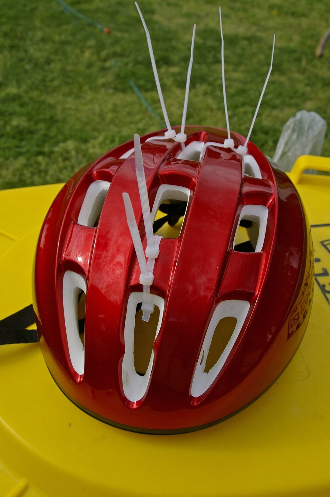 Animales peligrosos – Guía de viaje en Wikivoyage