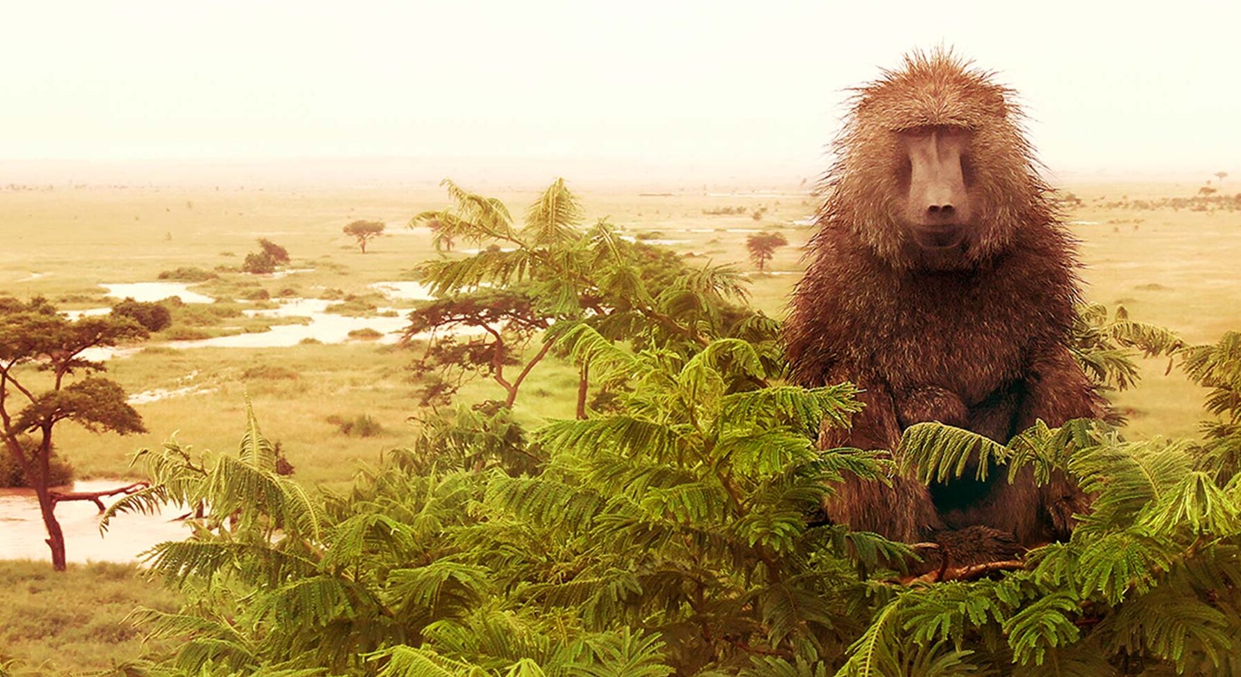 Conoce los asombrosos animales del Serengeti |