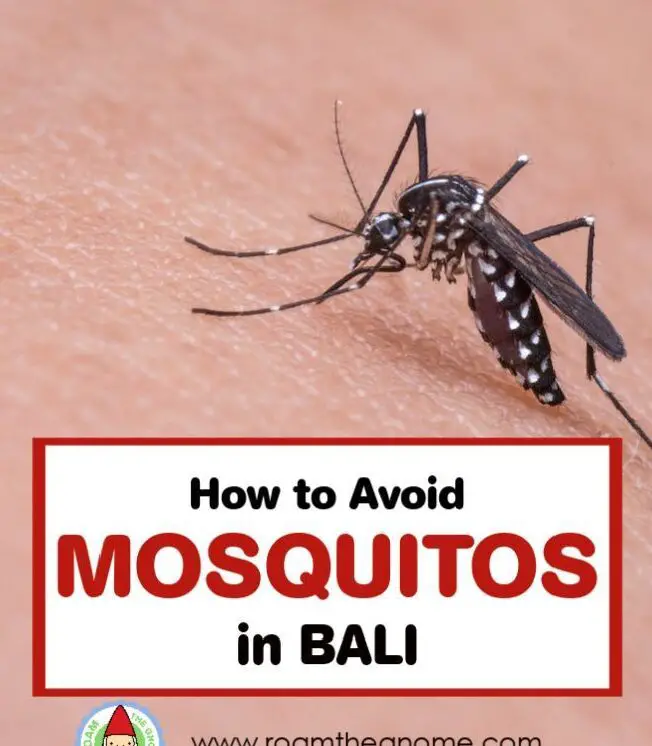 Los 5 mejores consejos para evitar los mosquitos en Bali y no enfermarse