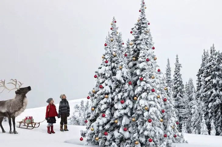 Navidad en Groenlandia – Qué días festivos