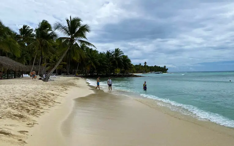 Algas en Punta Cana - ¿En qué época del año hay muchas algas?