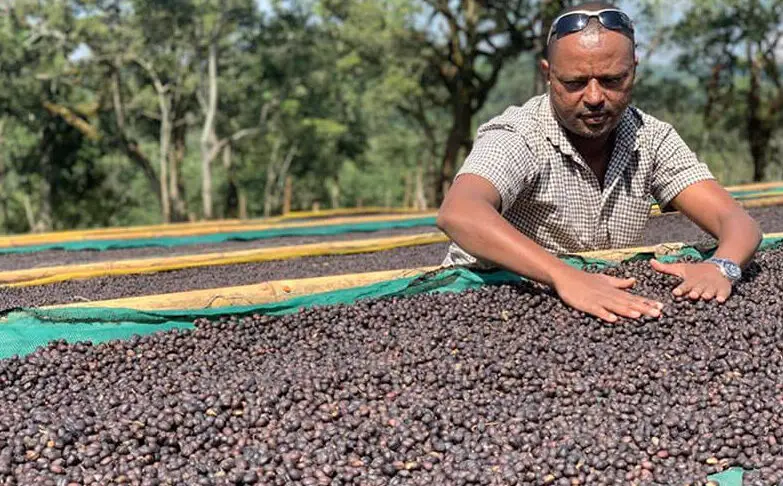 SCA World of Coffee 2025 se celebrará en Ginebra - Tea & Coffee Trade Journal