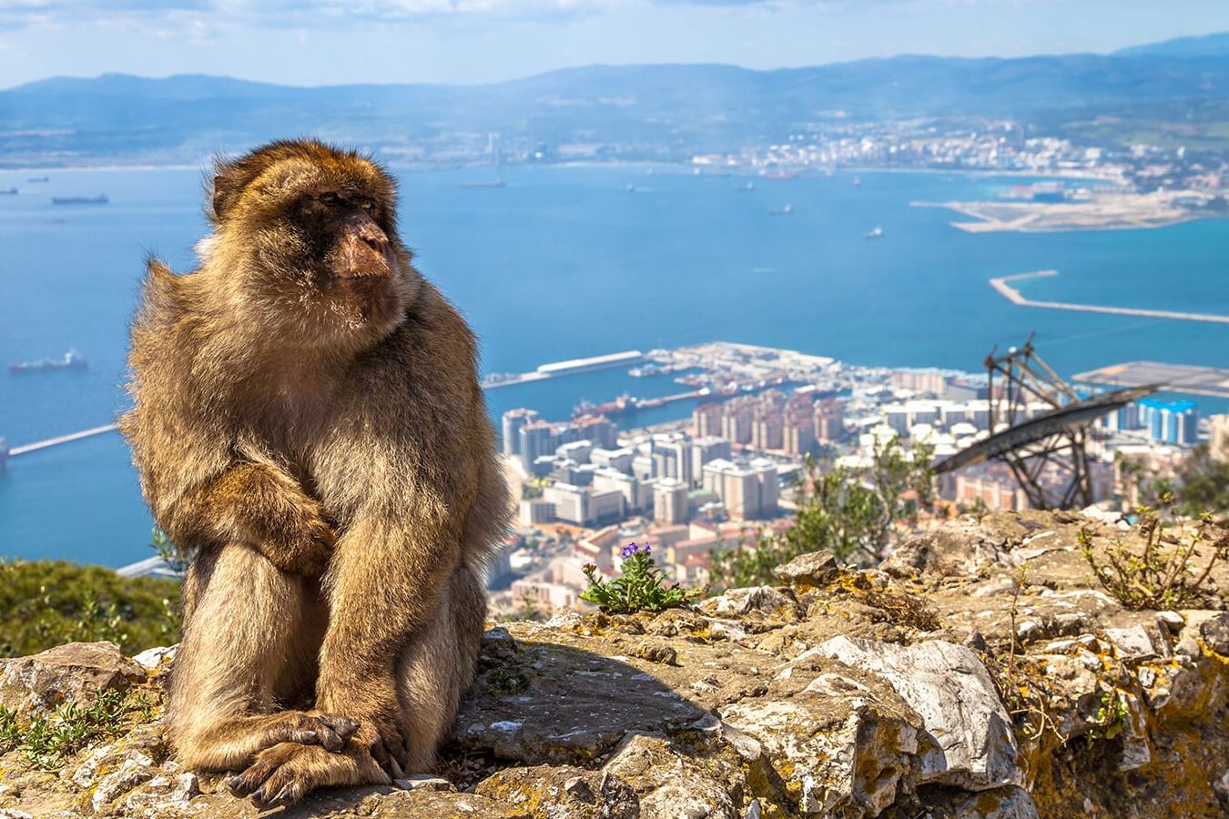 1 día en Gibraltar: el itinerario perfecto por Gibraltar - Road Affair