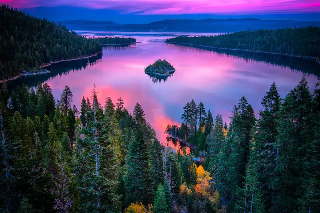 ¡Animales comunes, raros y peligrosos en Lake Tahoe y dónde encontrarlos!