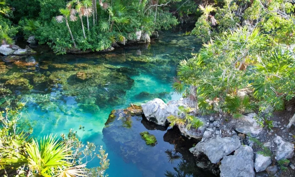 ¿Cancún vs. Cabo San Lucas para familias? ¡Una comparación honesta para ayudarte a decidir!