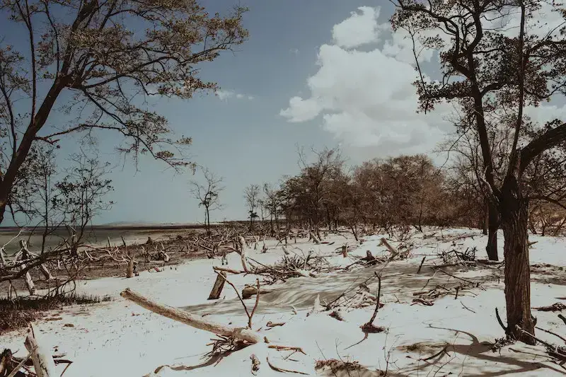 ¿Es seguro visitar Jericoacoara, Brasil? Peligros y riesgos 2023 ¿Es seguro visitar Jericoacoara, Brasil? Peligros y riesgos 2023