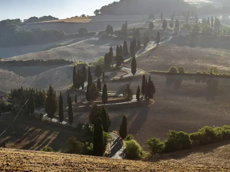 ¿Siena o Pisa? ¿Qué ciudad toscana debo visitar este año?