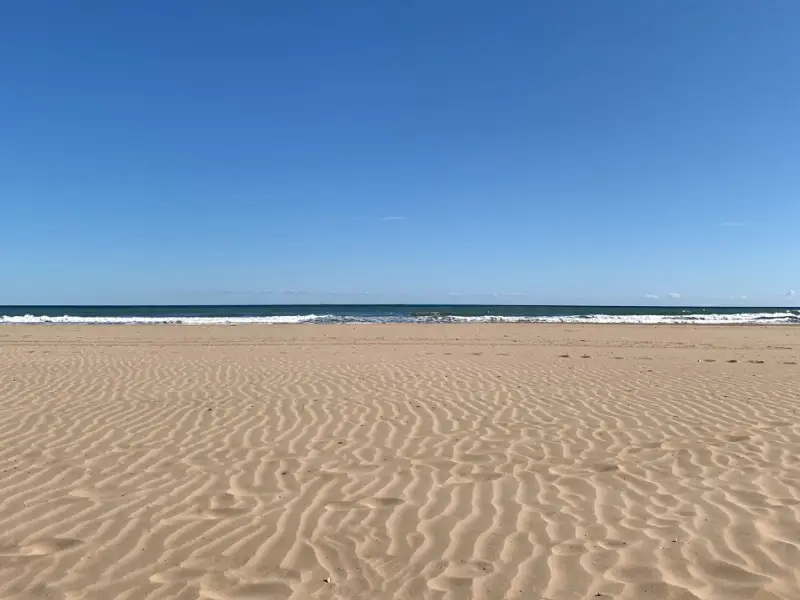 ¿Vale la pena visitar Valencia? 7 razones por las que pensamos que lo es